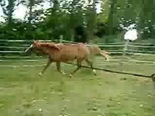 Rozenn CSO