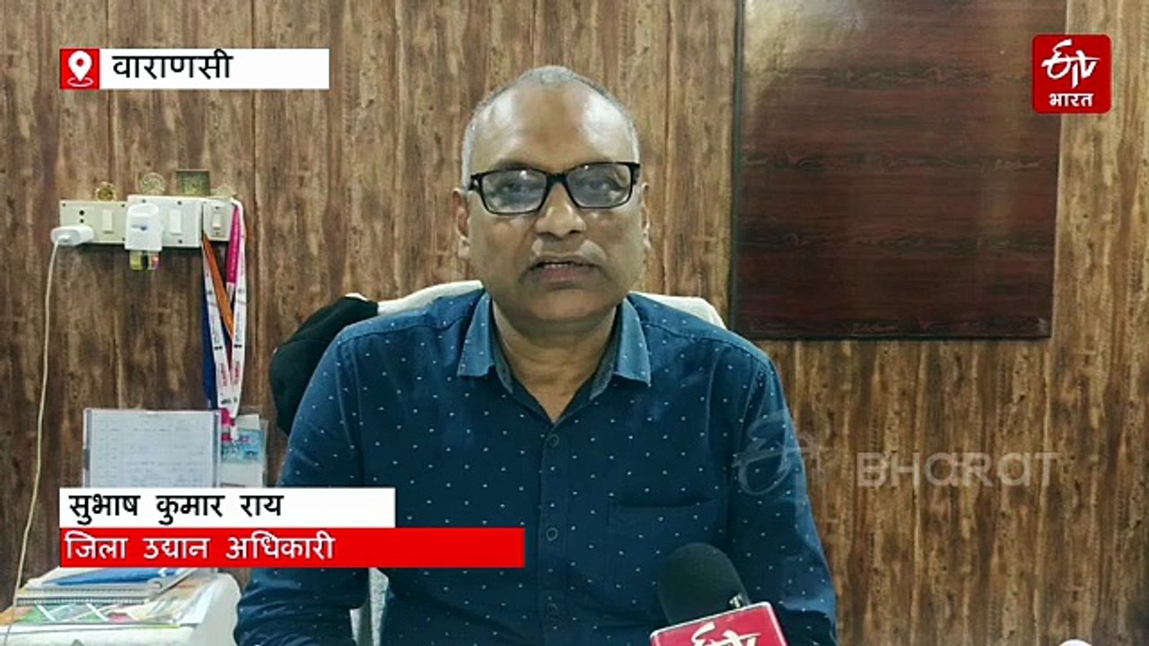 UP में रूफटॉप गार्डनिंग के लिए सरकार दे रही 10 हजार की सब्सिडी; इन जिलों में शुरू योजना
