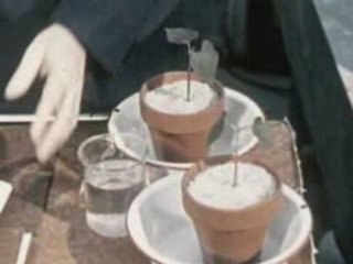 Radiation Safety in Nuclear Energy Exploration (1960s)