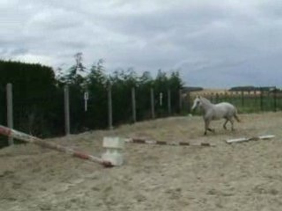 Rafale obstacle le 9/7/08