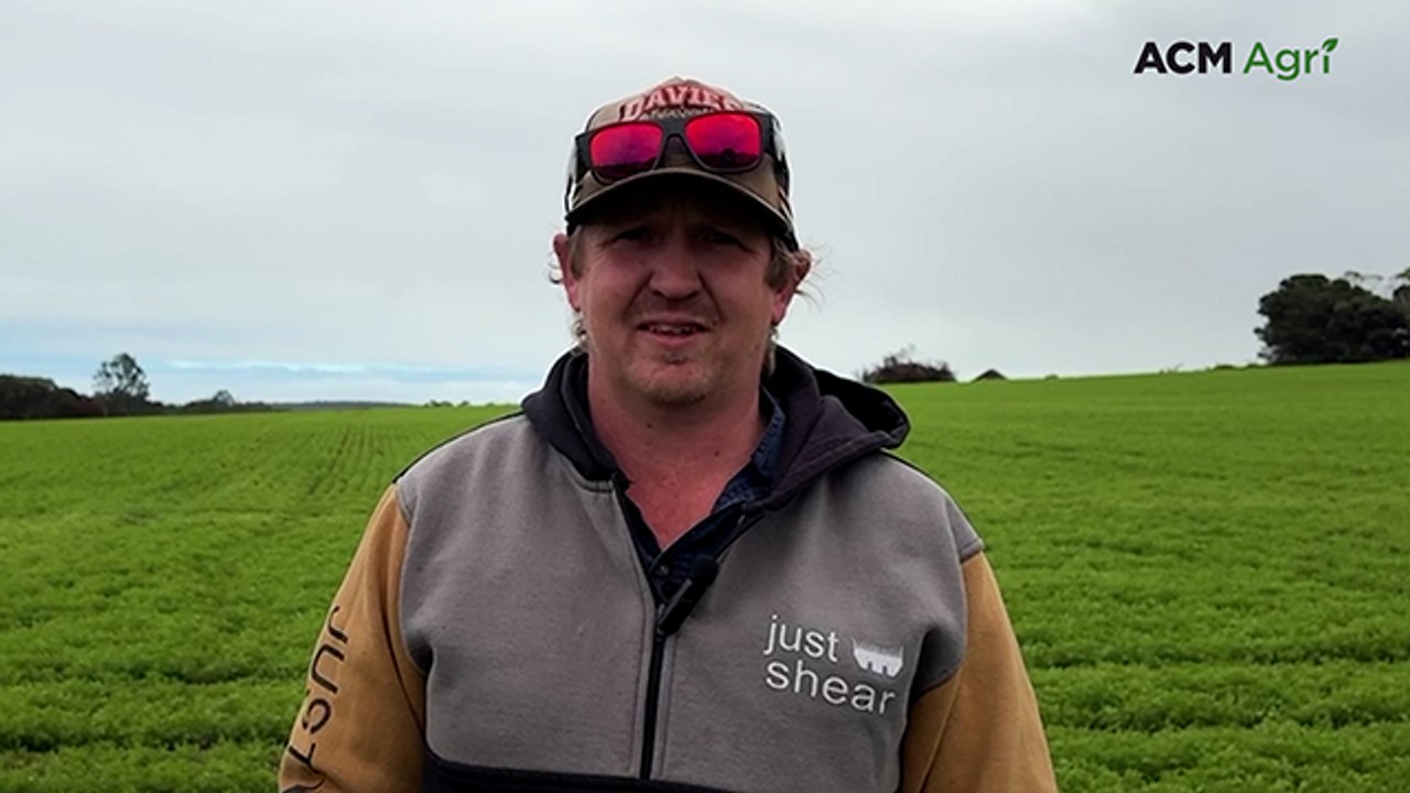 How this Yorke Peninsula cropper adapts his lentil rotation