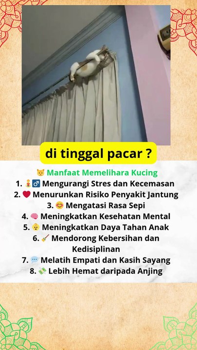 manfaat memelihara kucing yang terbukti secara ilmiah#viral