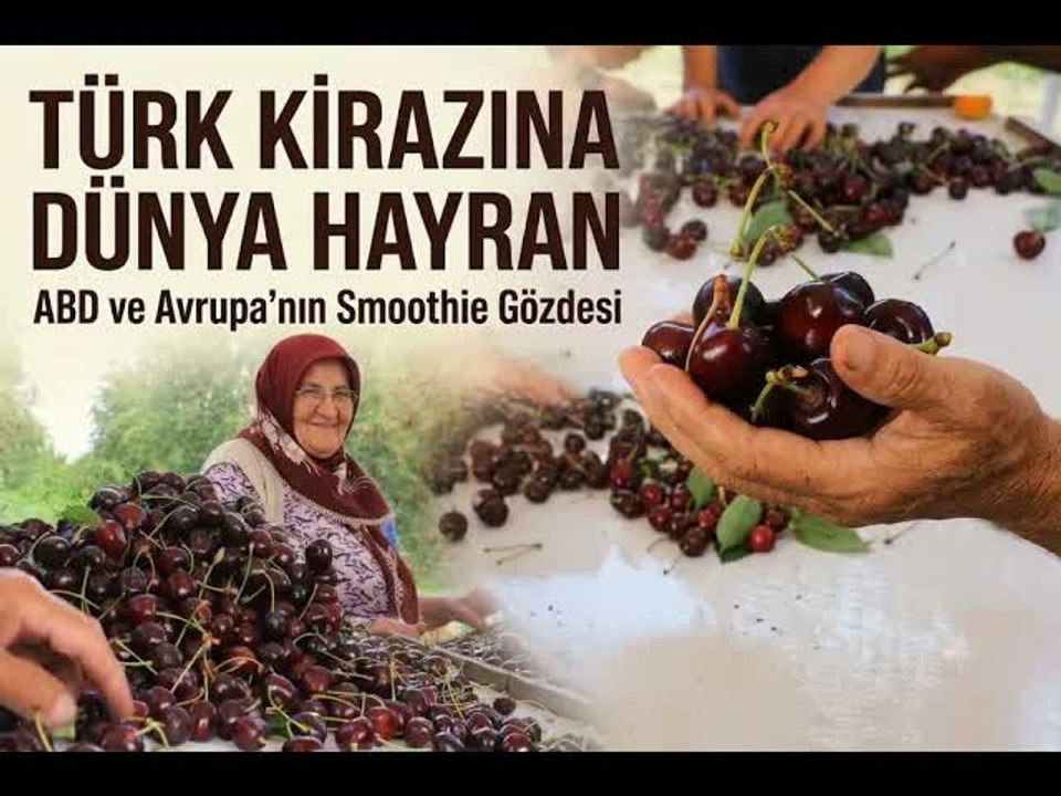 Aroma Farkı İhracatı Katladı: Sultandağı Kirazına Yoğun Talep