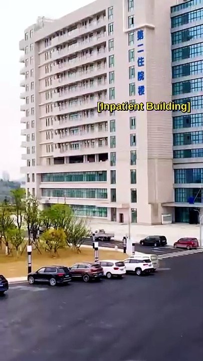 Back Alive, No More Rules- DRAMA MOVIE ENGLISH SUB [Full Movie]