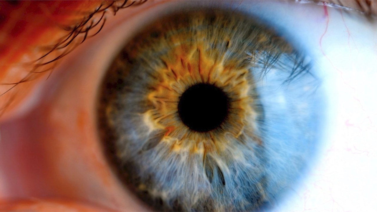 Could a new procedure cure blindness? Scientists hint it's possible