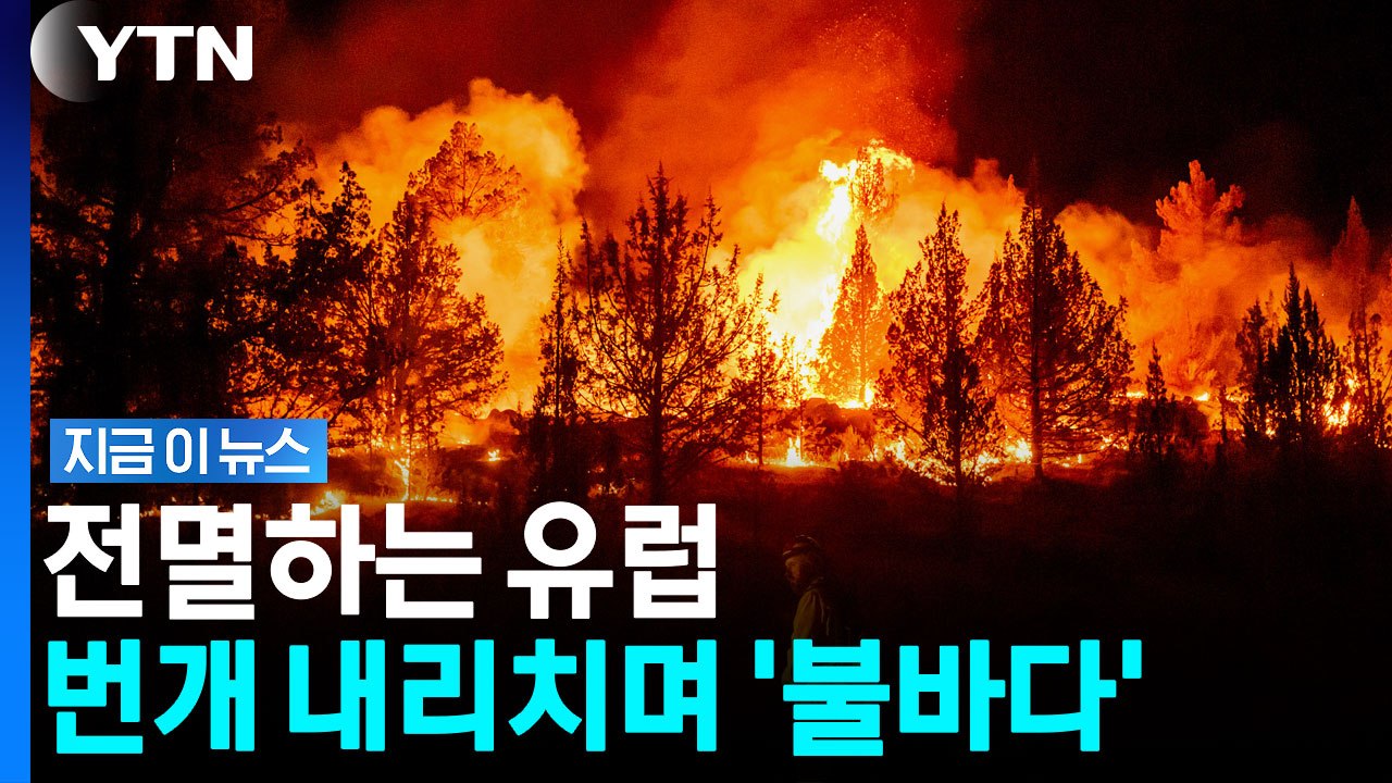 환호했던 자연경관이 '아뿔싸'…불쏘시개로 변해버린 유럽 [지금이뉴스] / YTN