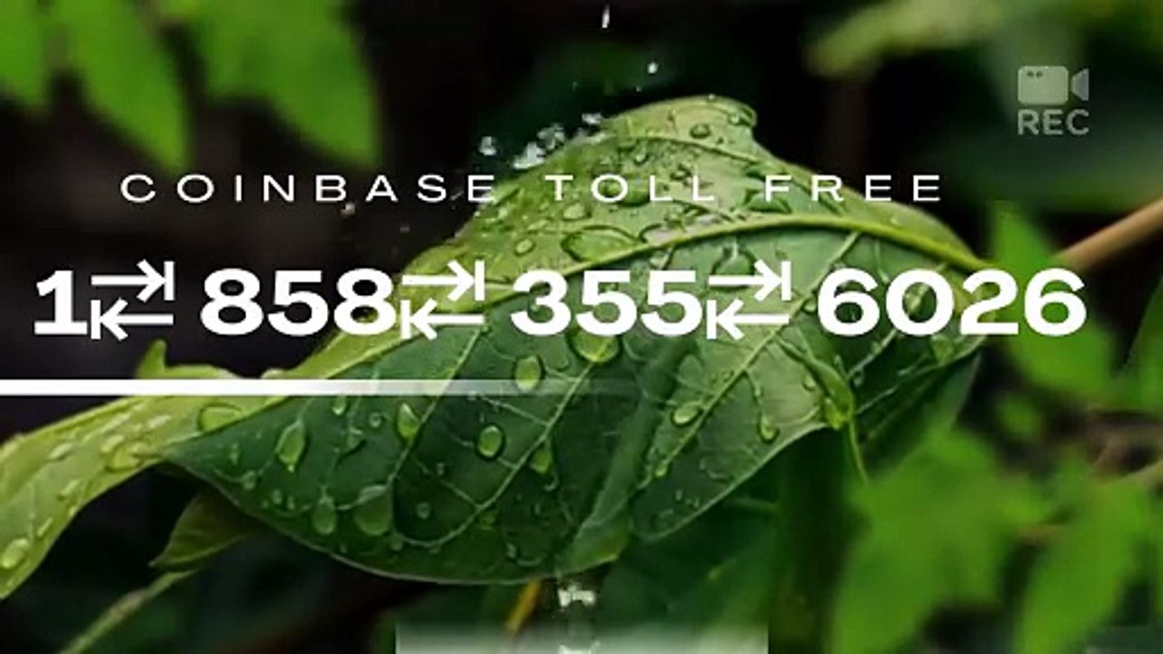 How do I contact Coinbase by email