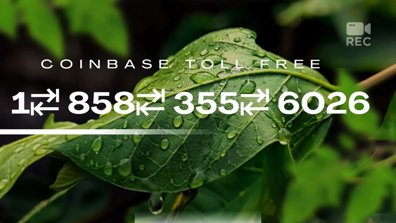How do I avoid getting scammed on Coinbase