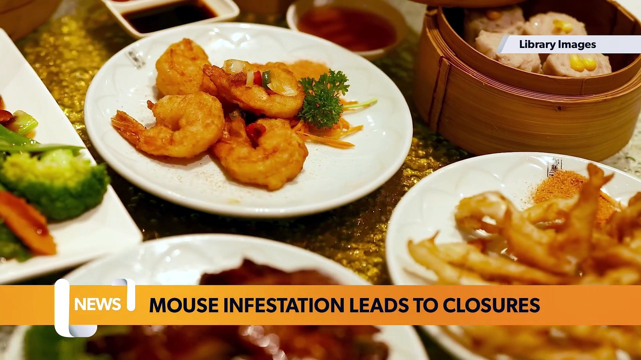 Mice and Egg Fried Rice? – Six Birmingham Chinese restaurants CLOSED due to infestation