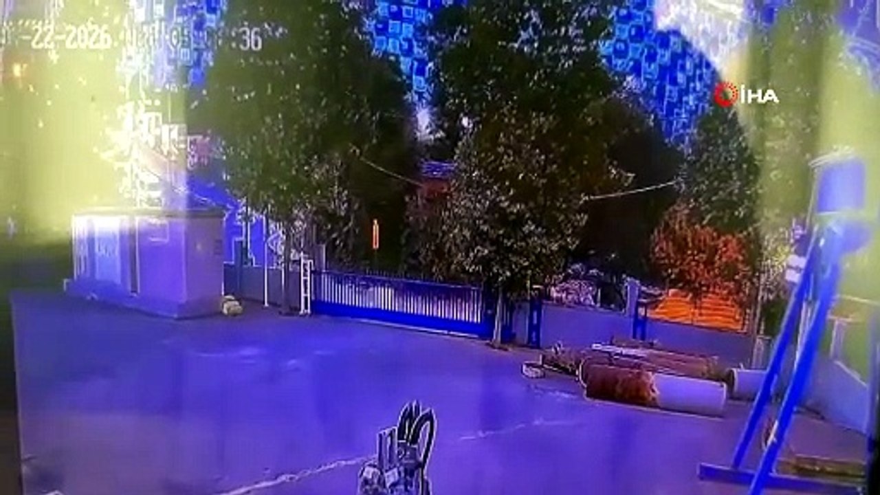 Cesedi ormanda bulunmuştu: Genç kadının katili en yakını çıktı!