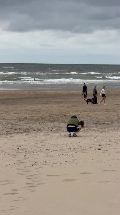 Maltipoo Puppy Hilariously Runs Past Dad to Mum on Beach