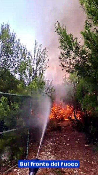 Sul fronte del fuoco