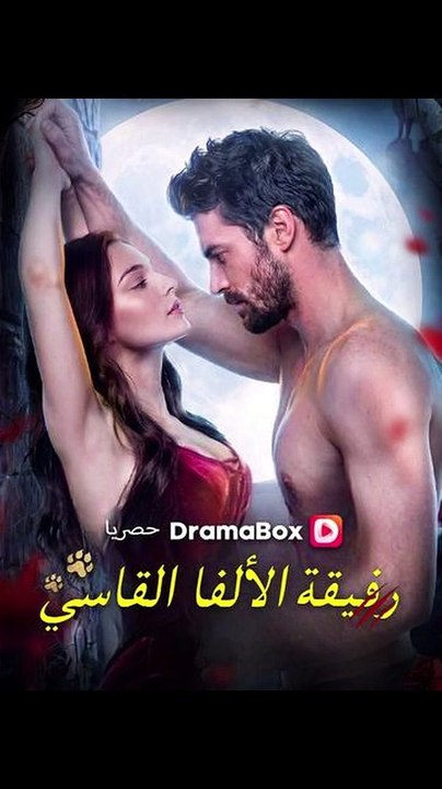 رفيقة الألفا القاسي