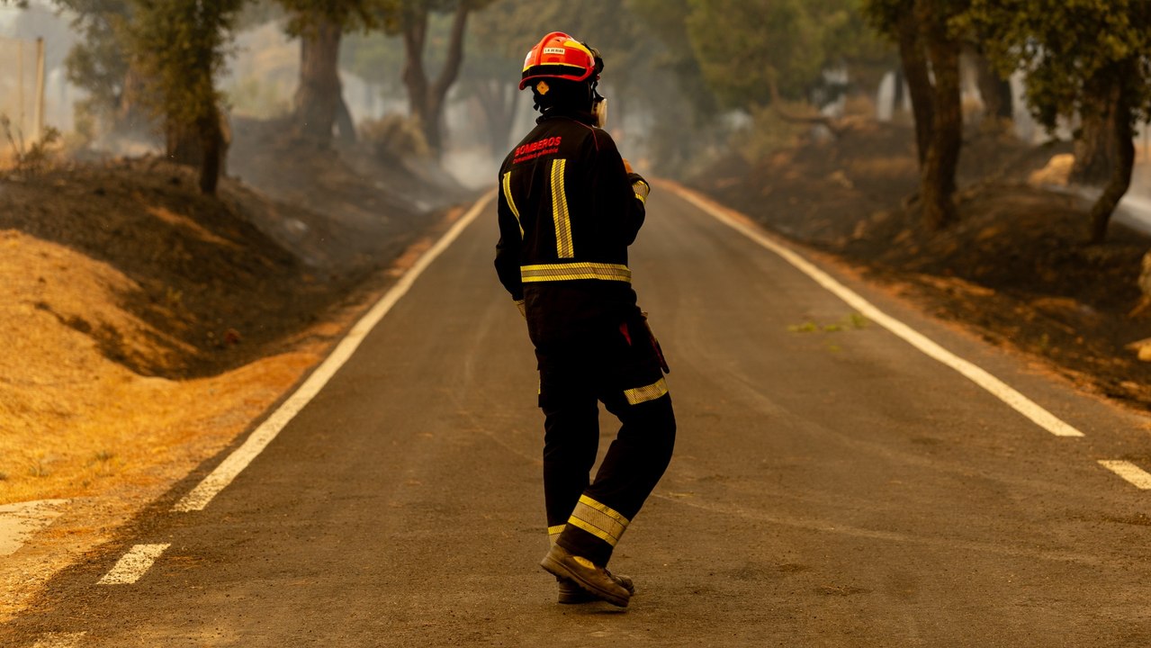 Madrid despliega el mayor operativo de su historia contra los incendios: "Ni un solo herido grave entre 1.300 atendidos"