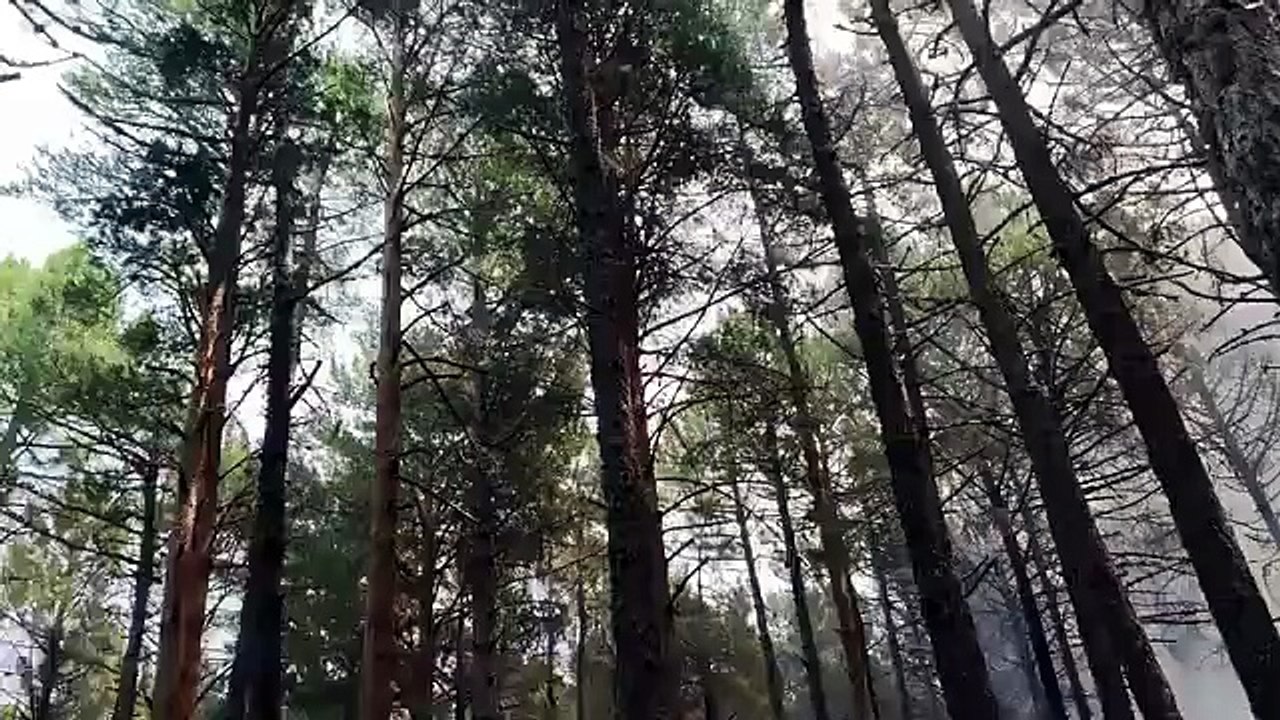 Rebrote del fuego en Mogote de Mijares (Ávila).