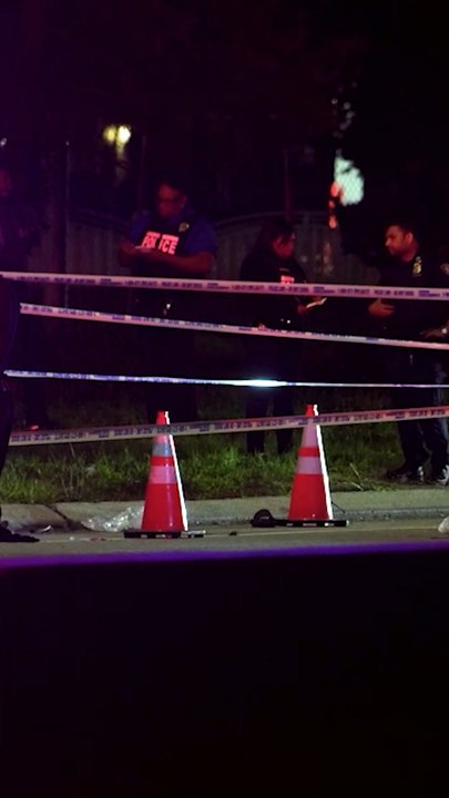 NYC Man Beaten to Death With Baseball Bat in Road Rage
