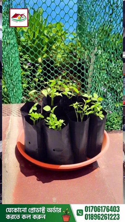 মরিচ, ক্যাপসিকাম, ঢেঁড়স, টমেটোসহ সবজি জাতীয় গাছ লাগানোর জন্য কম দামে ভালো মানের Geo Grow Bag কিনুন