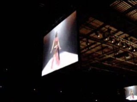 Japan Expo 2008 samedi cosplay Kultiverse RPG perso Imps