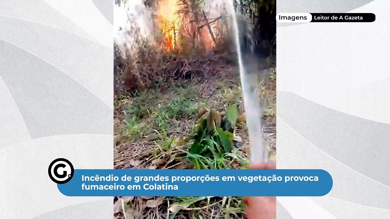 Incêndio de grandes proporções em vegetação provoca fumaceiro em Colatina