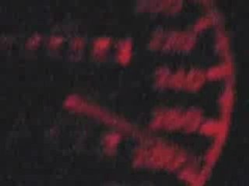 Audi RS2 315ch vs RS4 450ch jusqu'à 275km/h sur autoroute