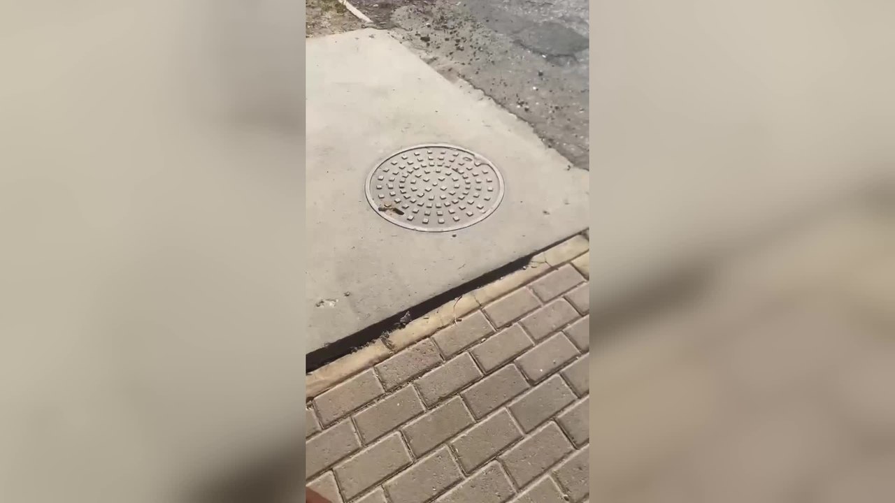 Heartbroken Girl Reunited With Puppy After Drain Rescue