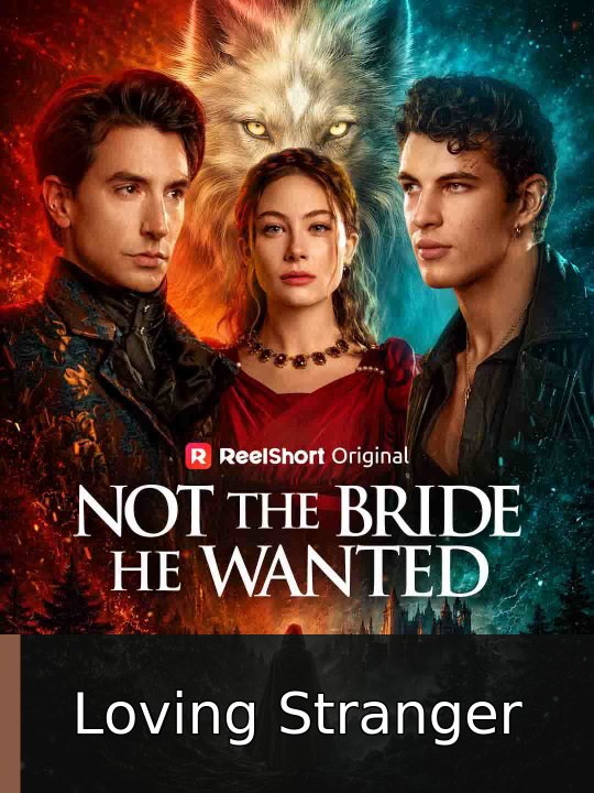 Not the Bride He Wanted | Loving Stranger
