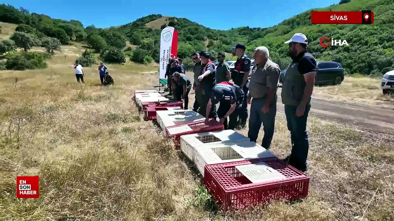 Sivas’ta 500 kene avcısı görev başında