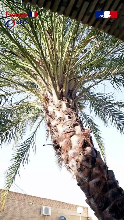 Ambassade Fr_Tabba3ni Nefta-BETA01