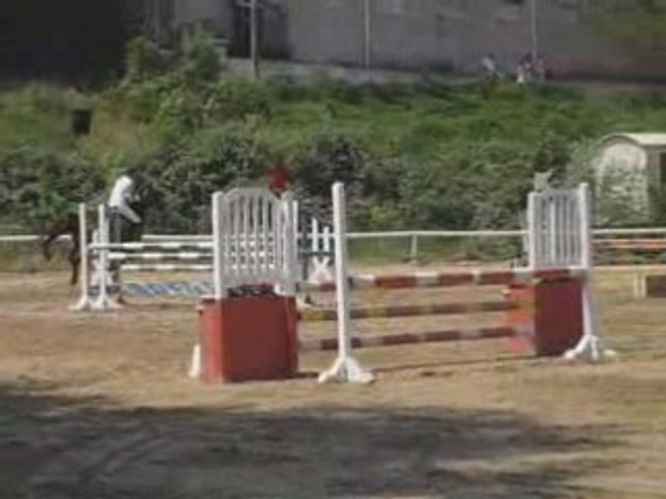 Spéciale yearling2