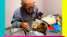 Don Felipe y su lomito conquistan las redes tras fuerte accidente del perrito.