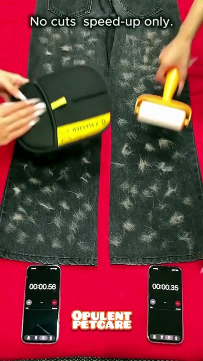 Pet Hair Removal Mitt vs Roller — Which One Actually Works?