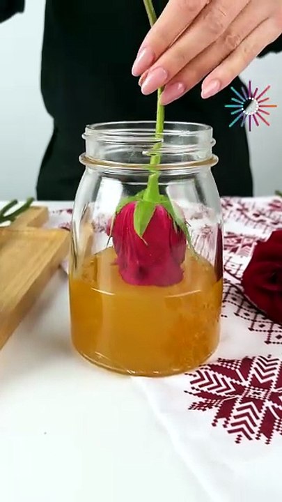 How to preserve beautiful roses🌹