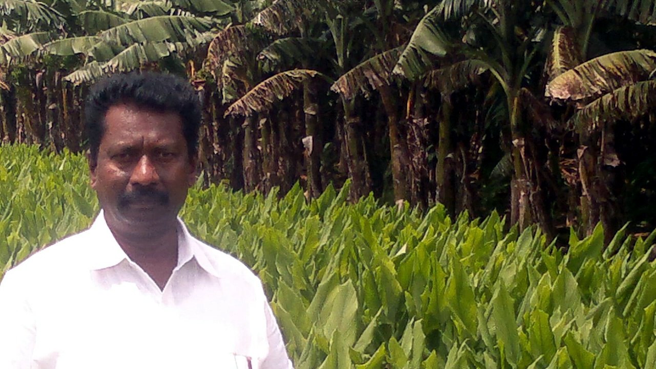 Aakalayyi Annamadigithe