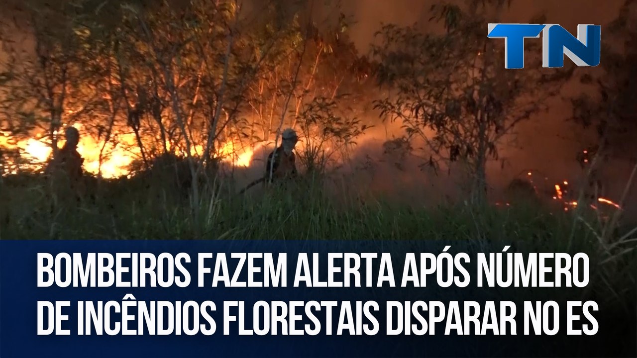 Bombeiros fazem alerta após número de incêndios florestais disparar no ES
