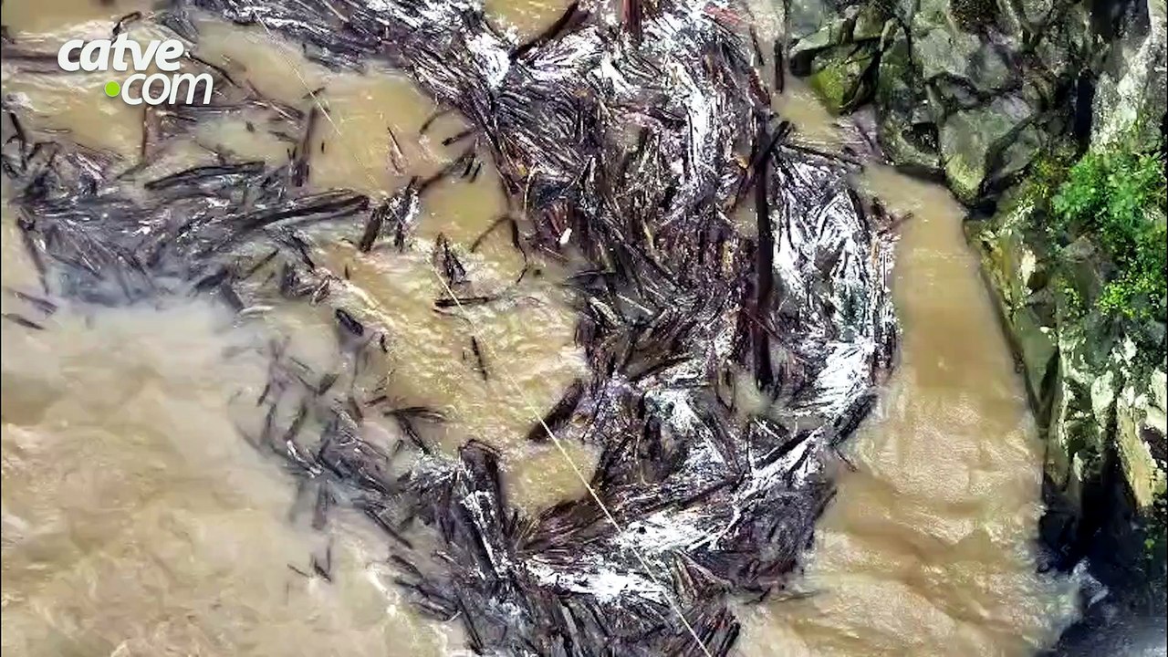 Imagens aéreas mostram área onde fotógrafa desapareceu em cachoeira de Sapopema