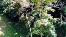Voo do DJI MINI SE 2 na zona rural de Lamim.