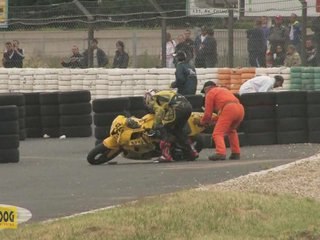 DU SANG NEUF CHEZ DARK DOG ( moto journal )