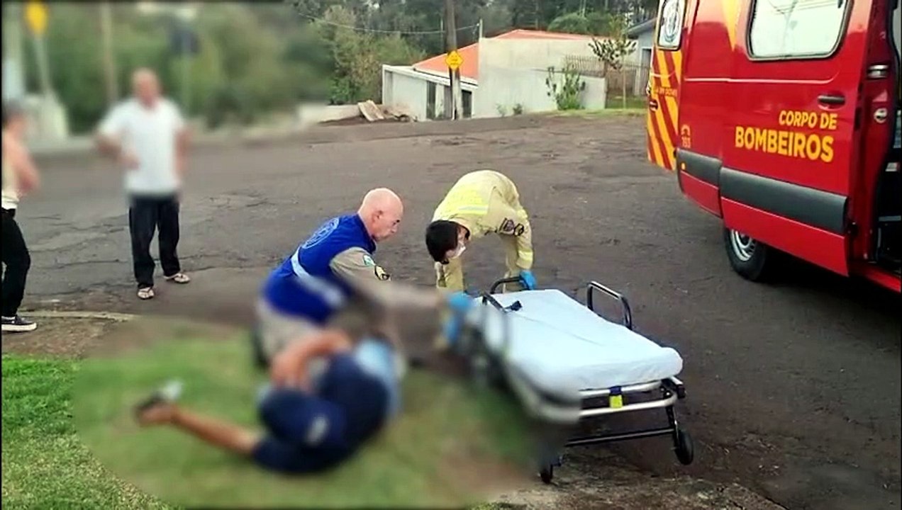 Homem é mordido por cão comunitário no Turisparque