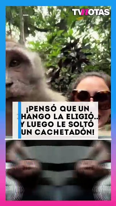 ¡Emjay pensó que un monito la eligió… y terminó llevándose una tremenda cachetada!