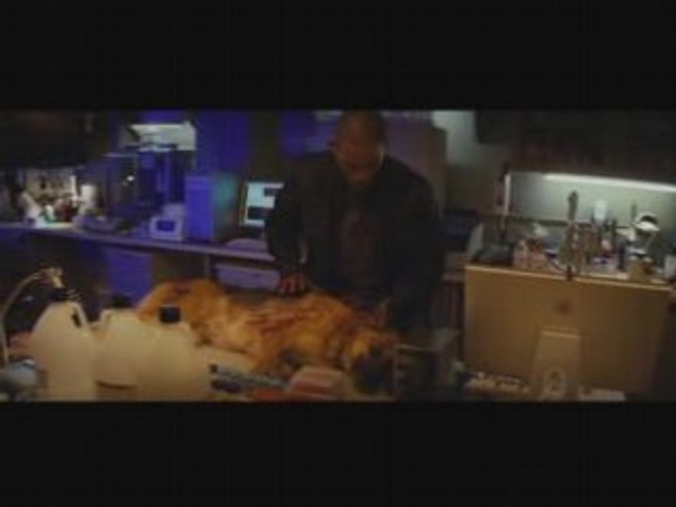 Je suis une légende mmv