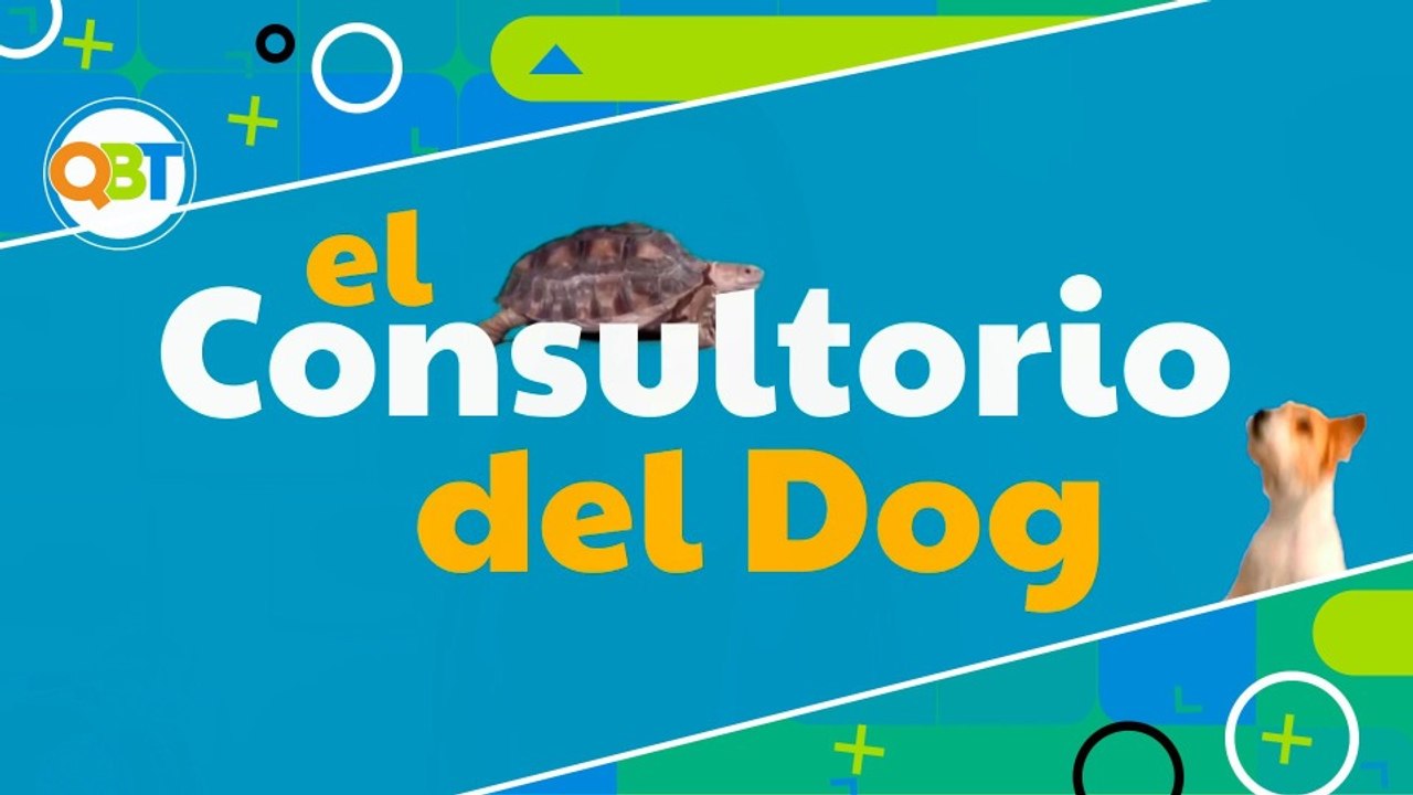 Veterinaria - Lunes 27 julio 2026
