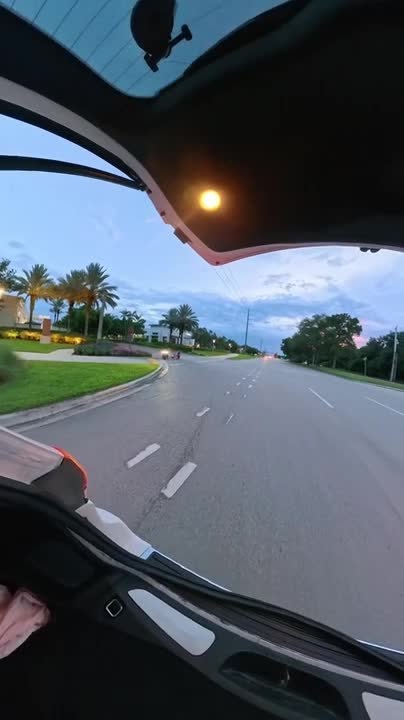 Videographer Falls From Moving Car