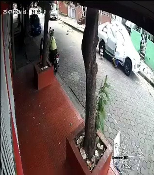 Joven pierde la vida tras brutal ataque de un perro pitbull