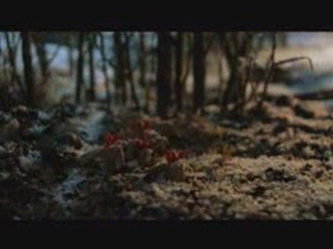 Fleet Foxes - White Winter Hymnal