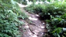 260720龍潭石門山景春步道-10