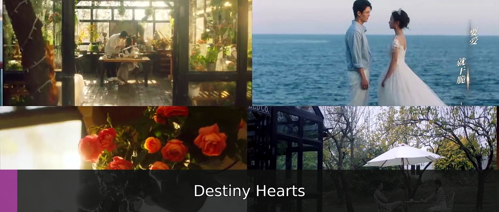 Stealth Episode 2 I FULL MOVIES ENGLISH SUB | Destiny Hearts