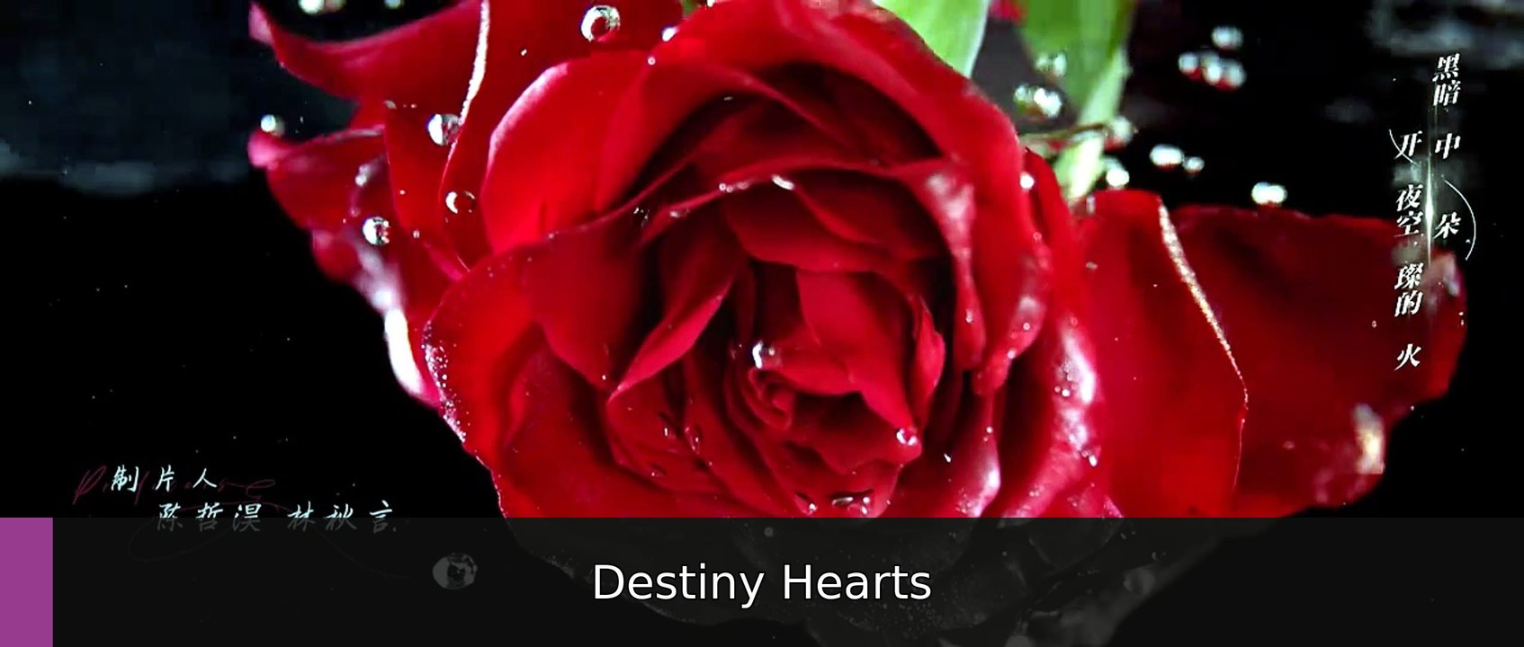 Stealth Episode 3 I FULL MOVIES ENGLISH SUB | Destiny Hearts