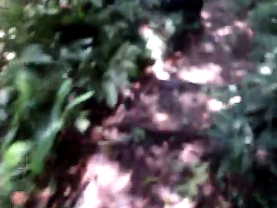 260720龍潭石門山景春步道-13