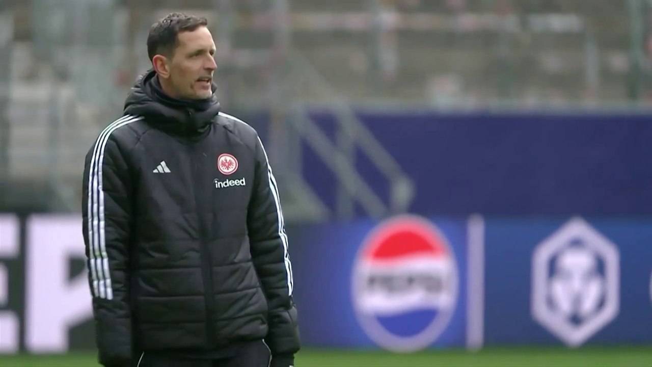 Dino Toppmöller Appointed Head Coach for Champions League Push