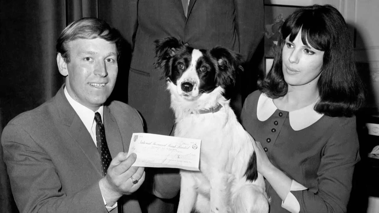 Pickles: The Dog Who Saved the 1966 World Cup Trophy